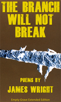 The Branch Will Not Break - James Wright